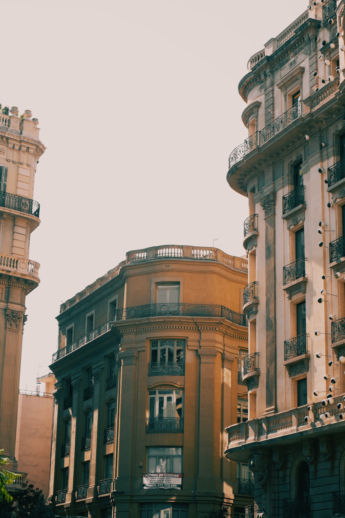 Italian Language Course in Sri Lanka: Your Complete 2026 Guide